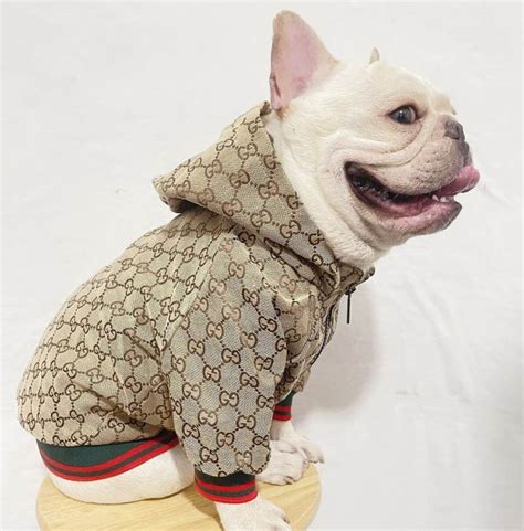 gucci pitbull sweater|gucci raincoat for dogs.